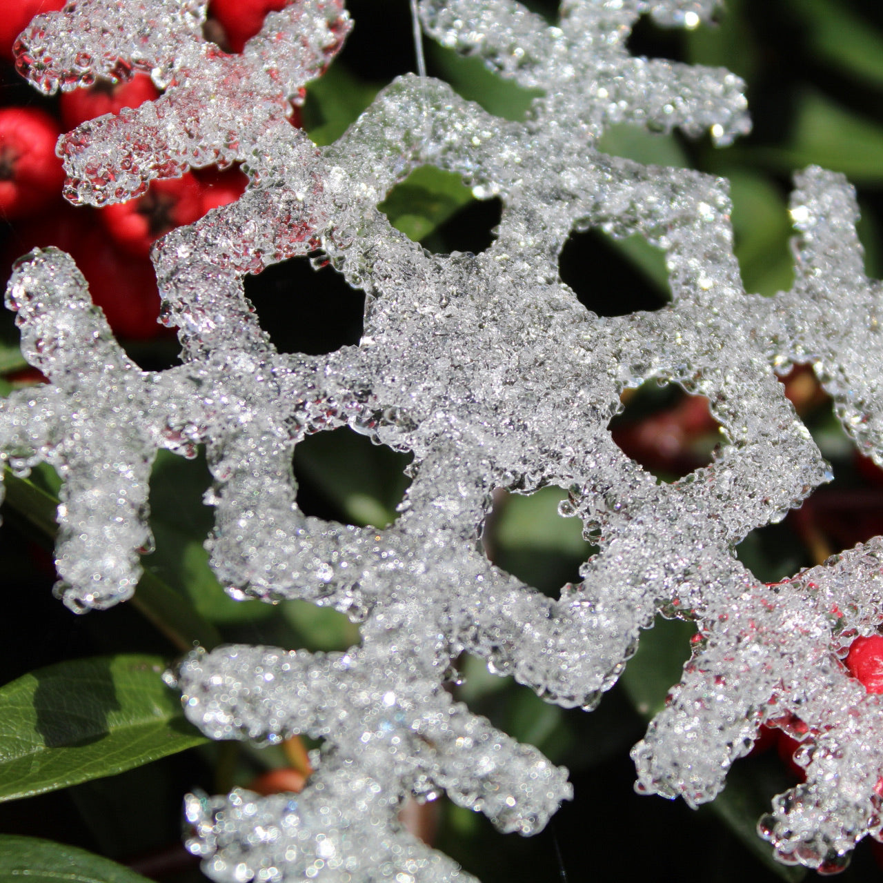 Christmas Snowflakes