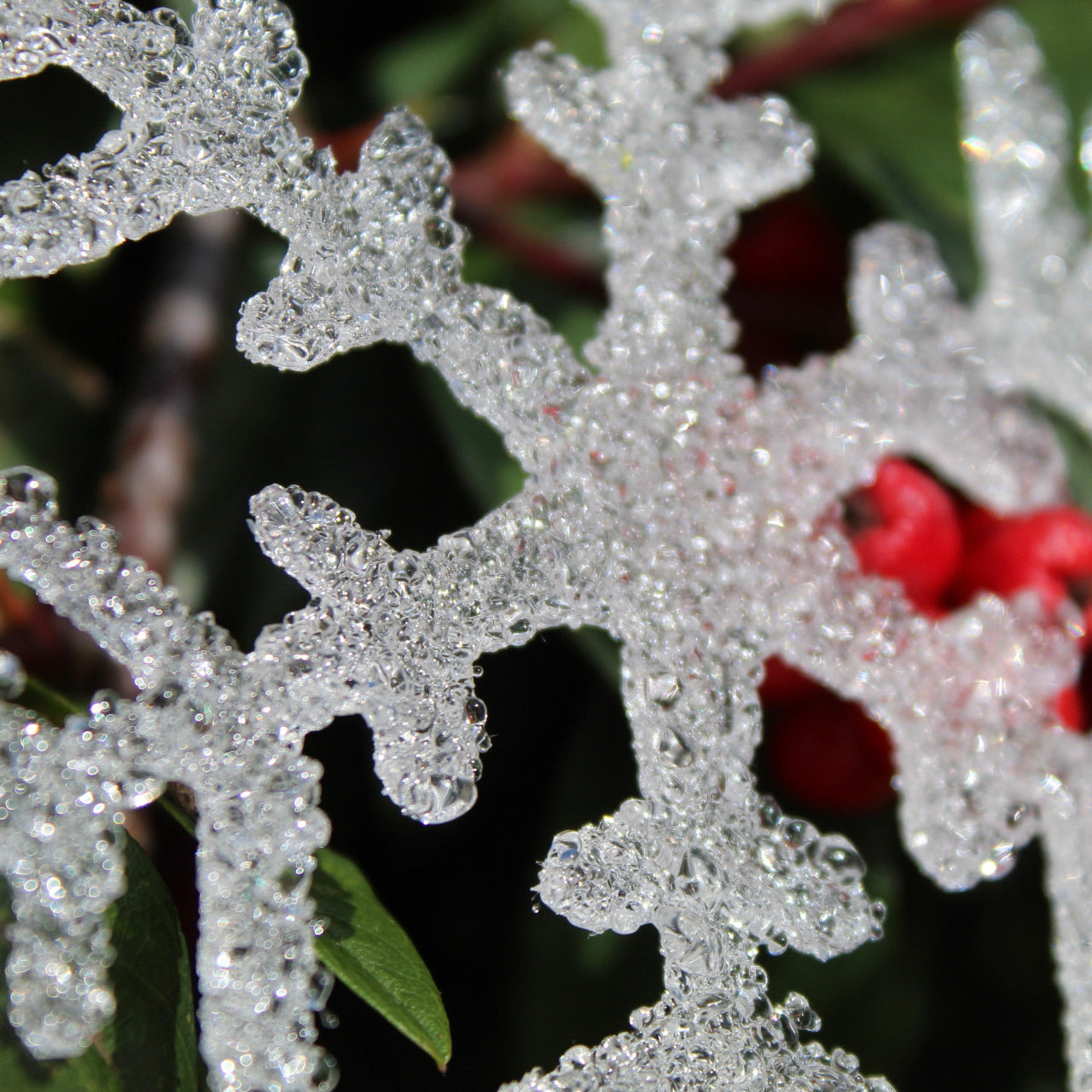 Christmas Snowflakes
