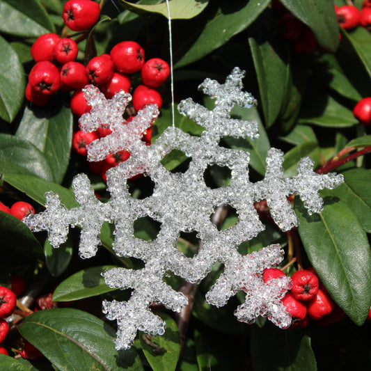 Christmas Snowflakes