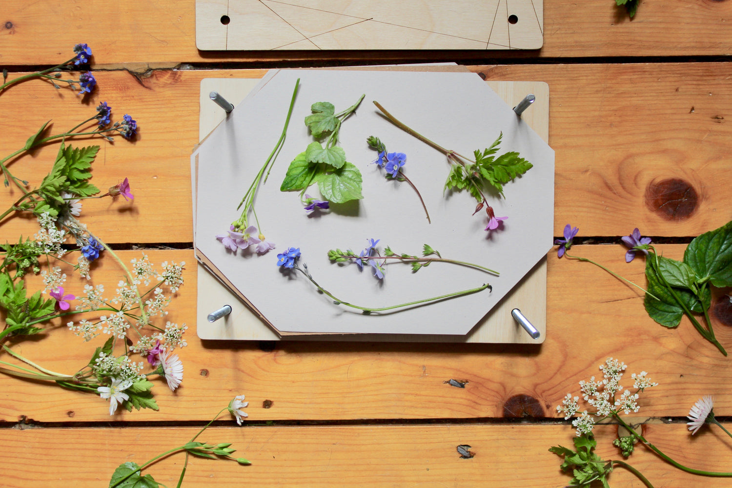 Flower Press