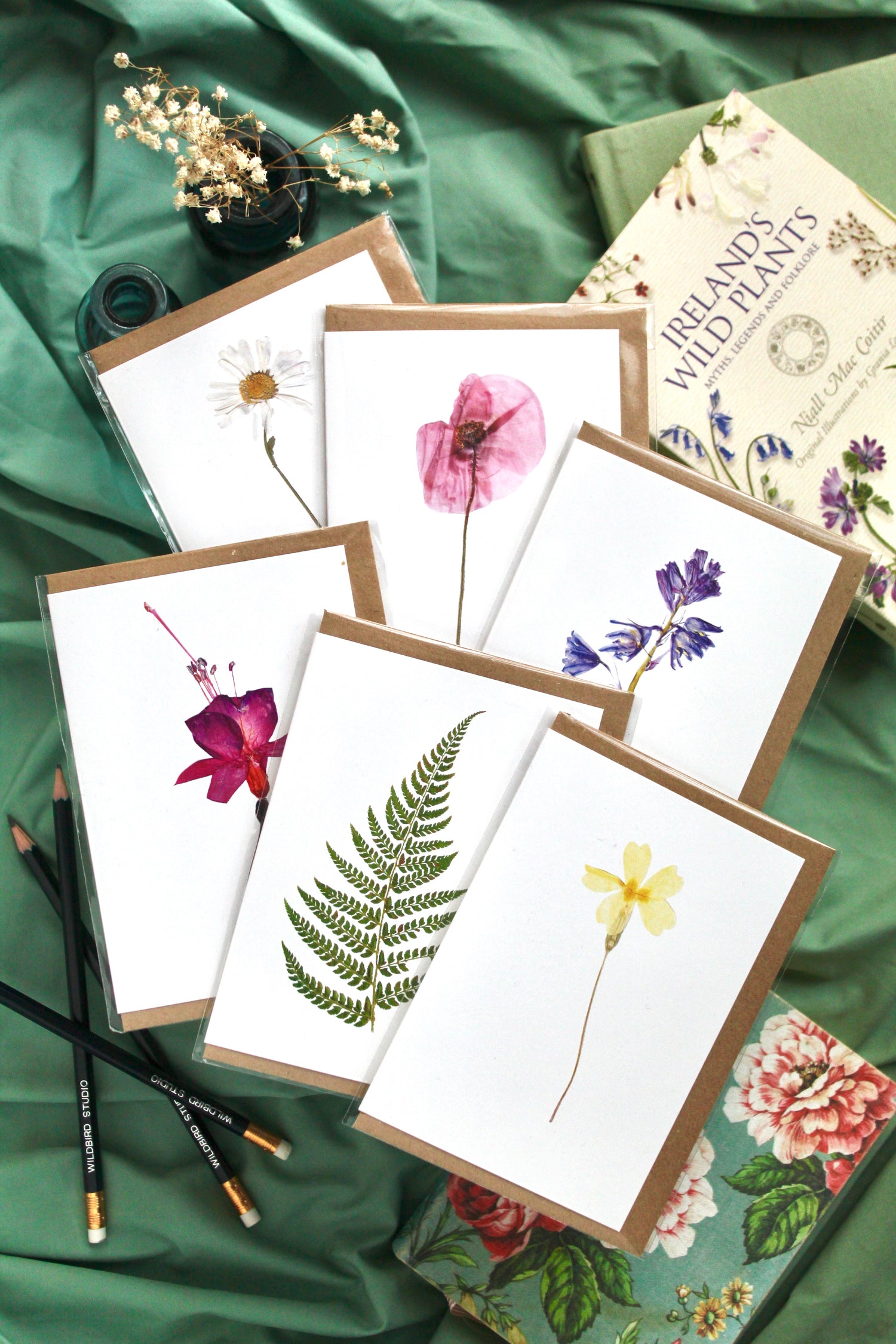 Fushia, cards, prints, wildflowers, dublin, wildbird studio, ireland,