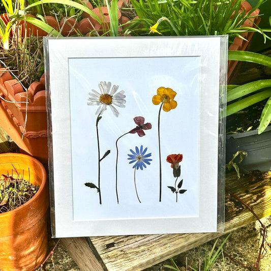Pressed Flower Prints — Limited Release