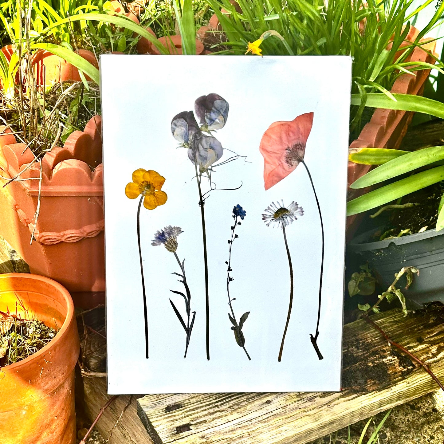 Pressed Flower Prints — Limited Release