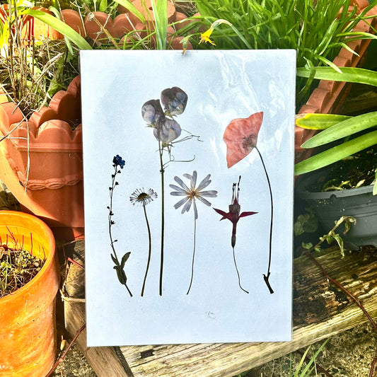 Pressed Flower Prints — Limited Release