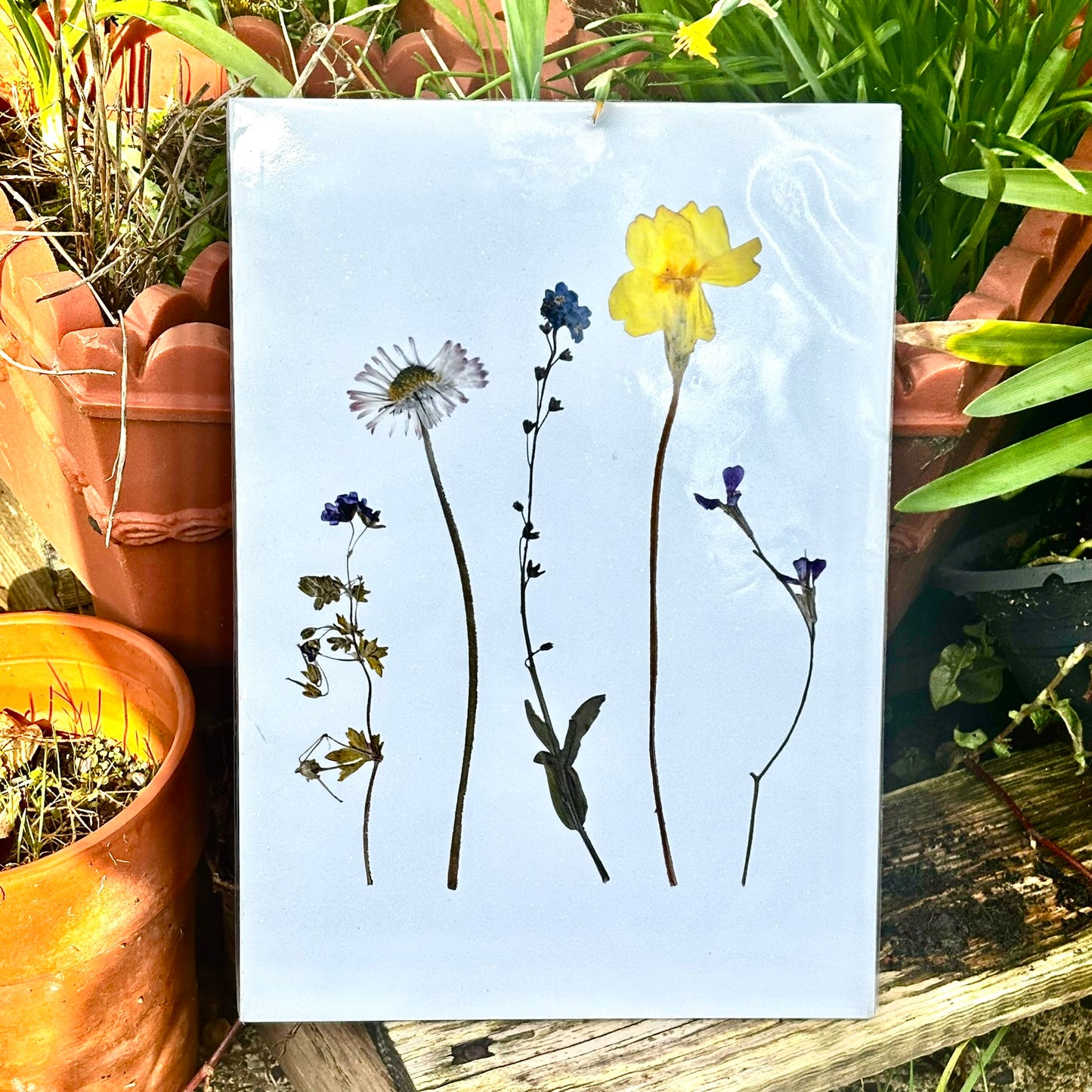Pressed Flower Prints — Limited Release