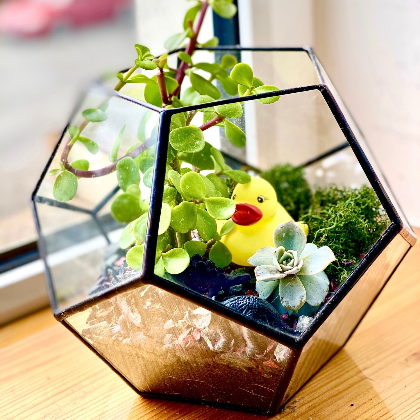 Dodecahedron Terrarium