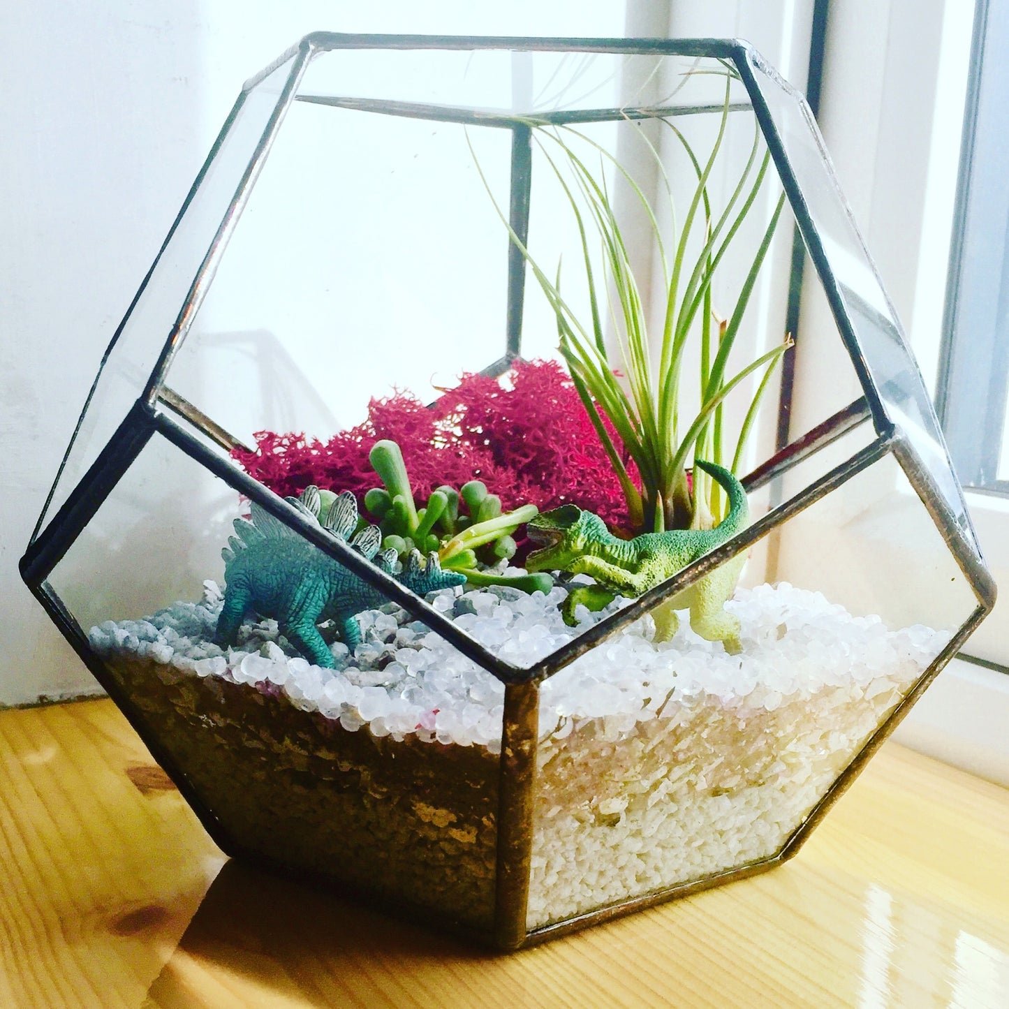 Dodecahedron Terrarium