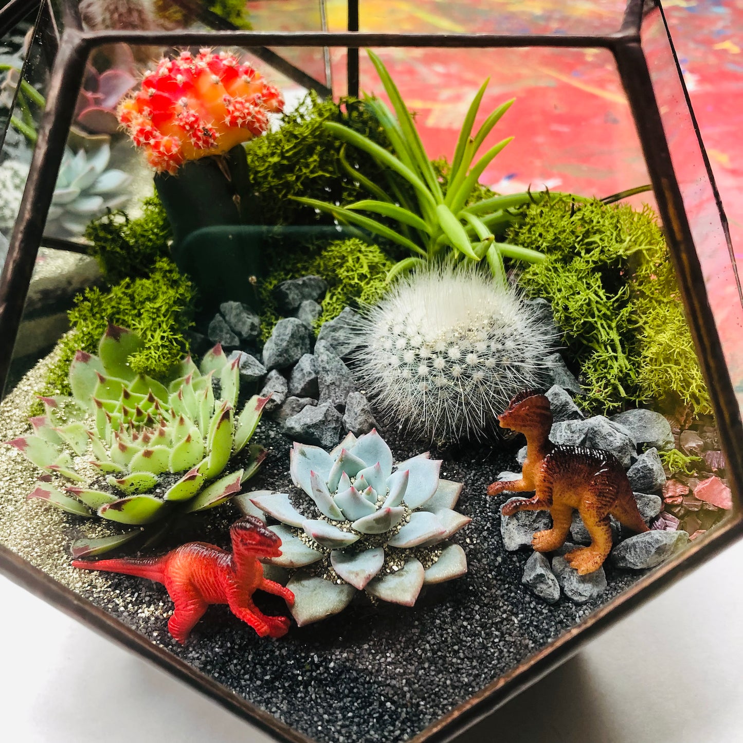 Dodecahedron Terrarium