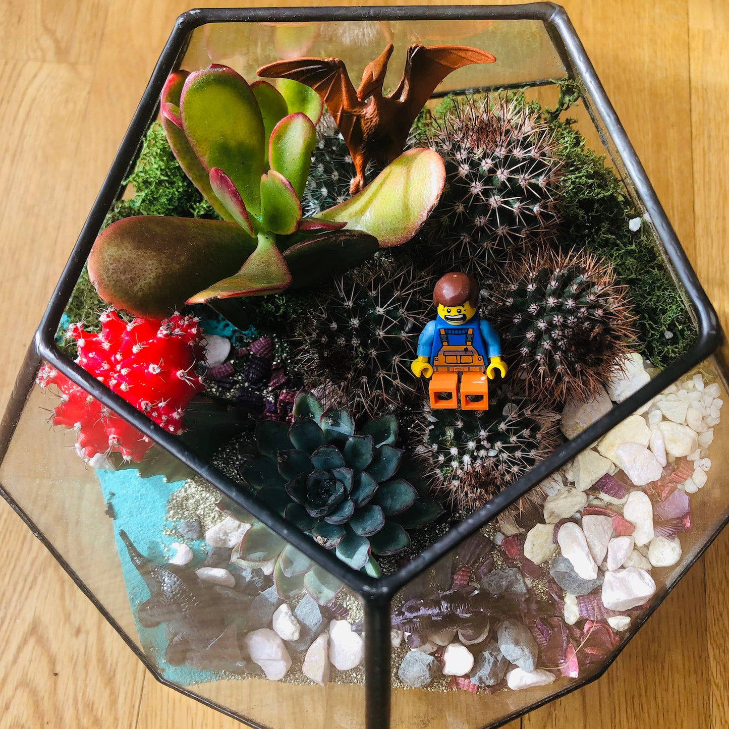 Dodecahedron Terrarium