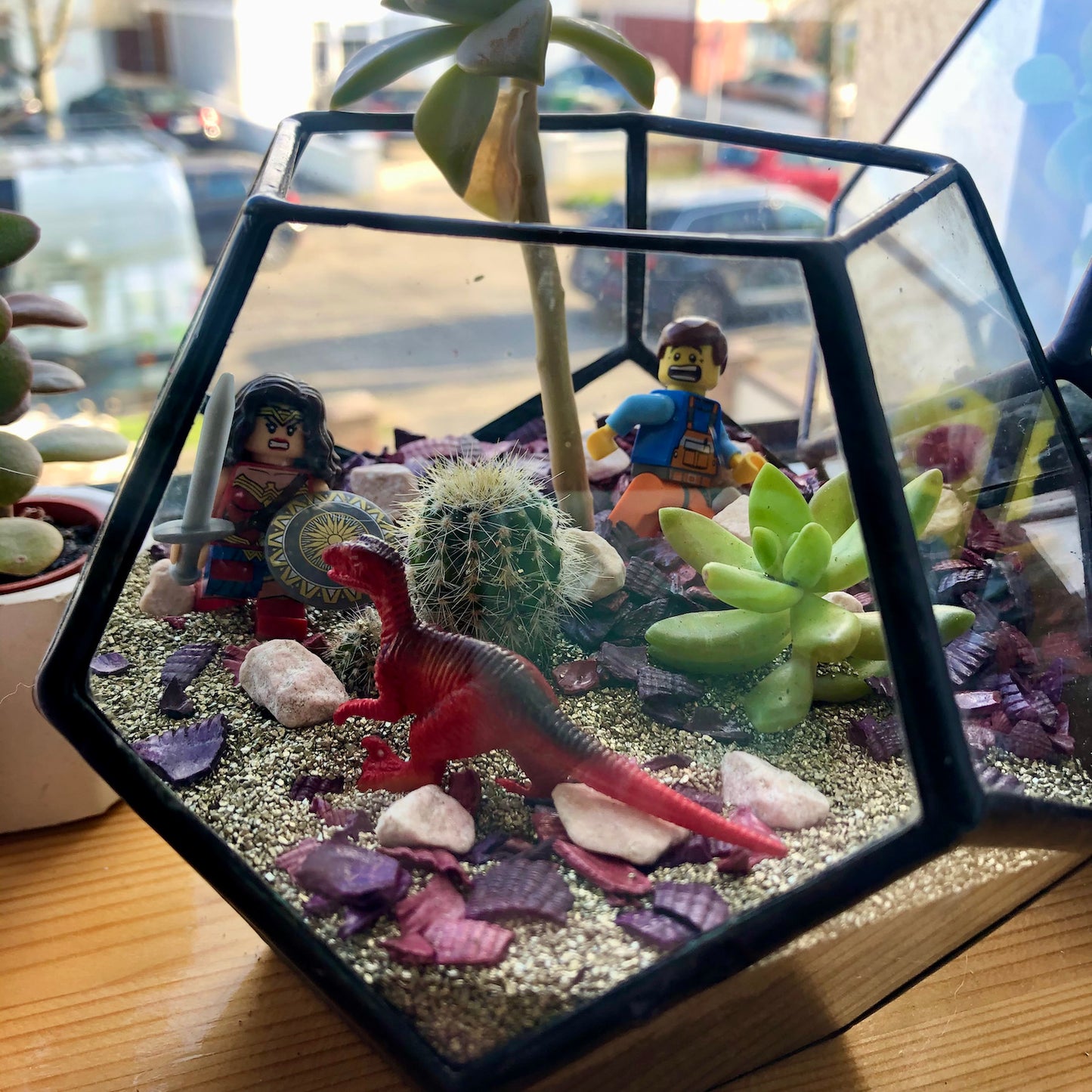 Dodecahedron Terrarium