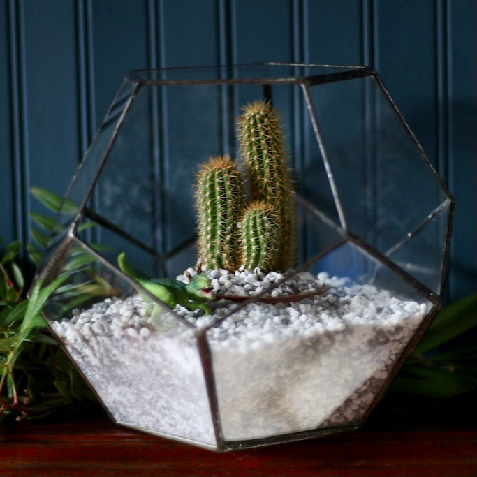 Dodecahedron Terrarium