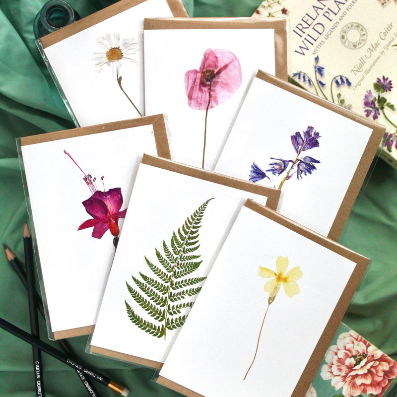 Botanical Cards - pack of 4