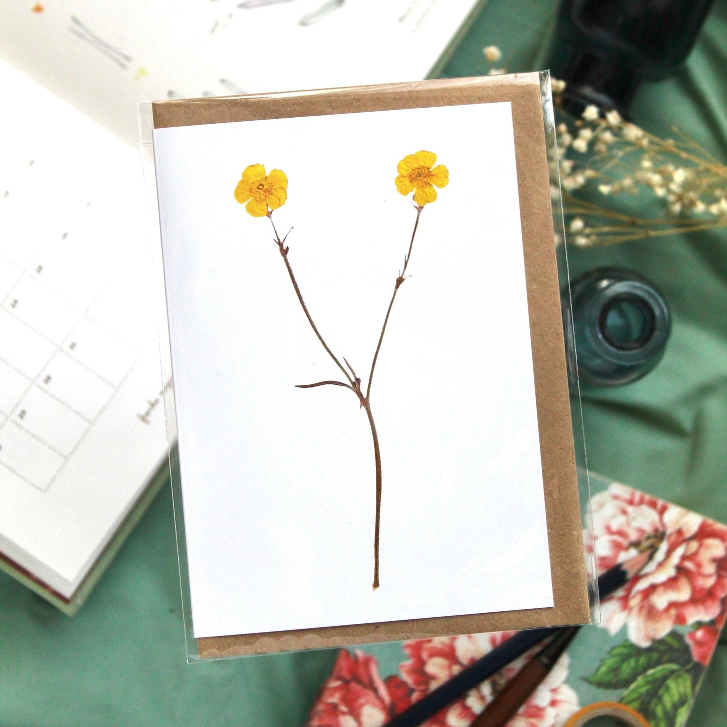 Botanical Cards - pack of 8