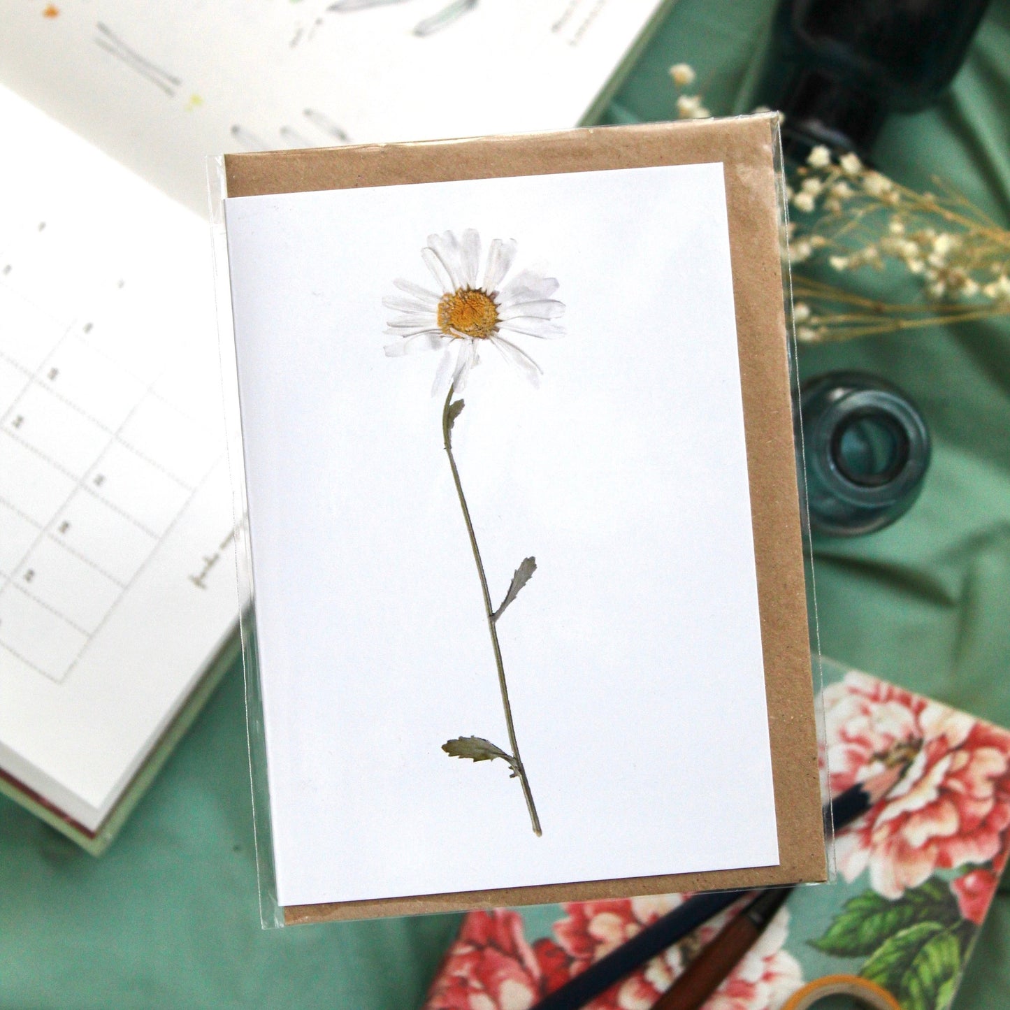 Botanical Cards - pack of 8