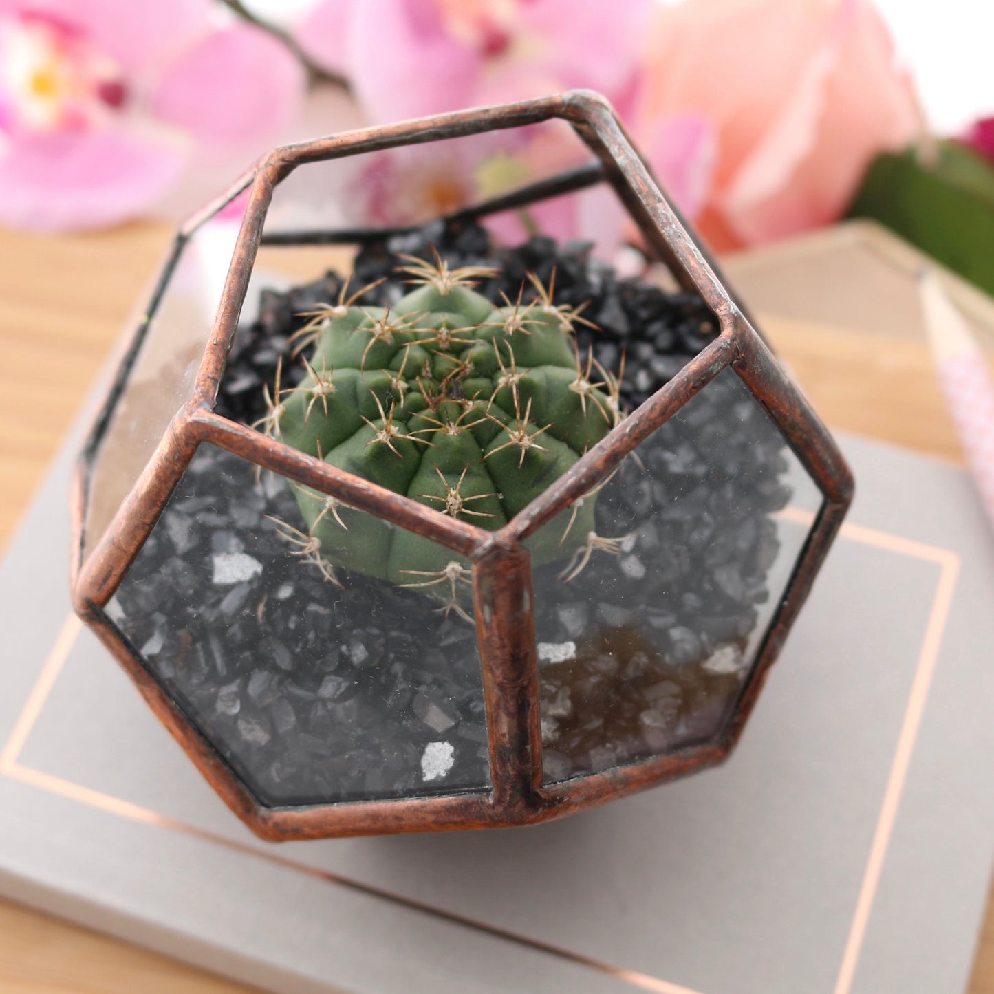 Dodecahedron Terrarium