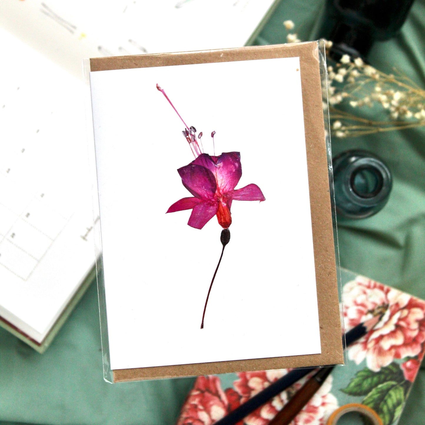 Botanical Cards - pack of 8