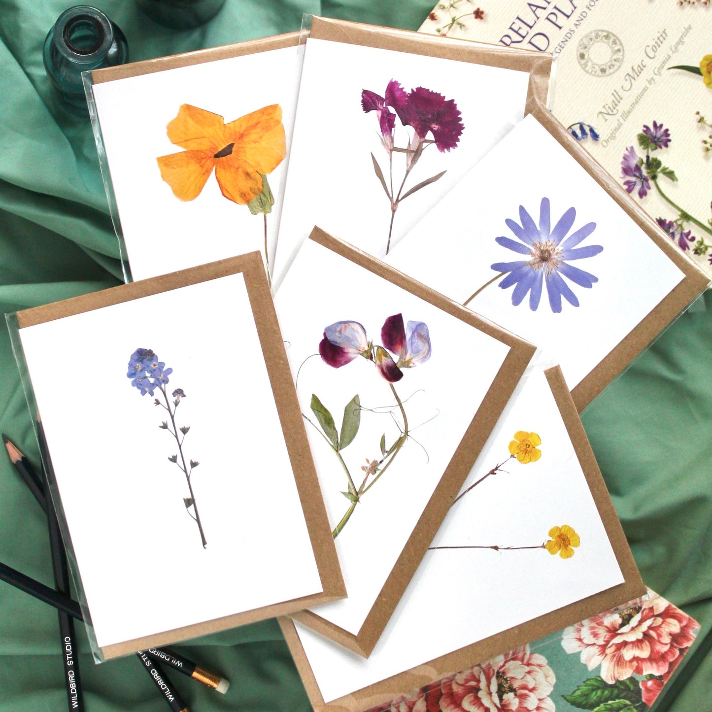 Botanical Cards - pack of 4