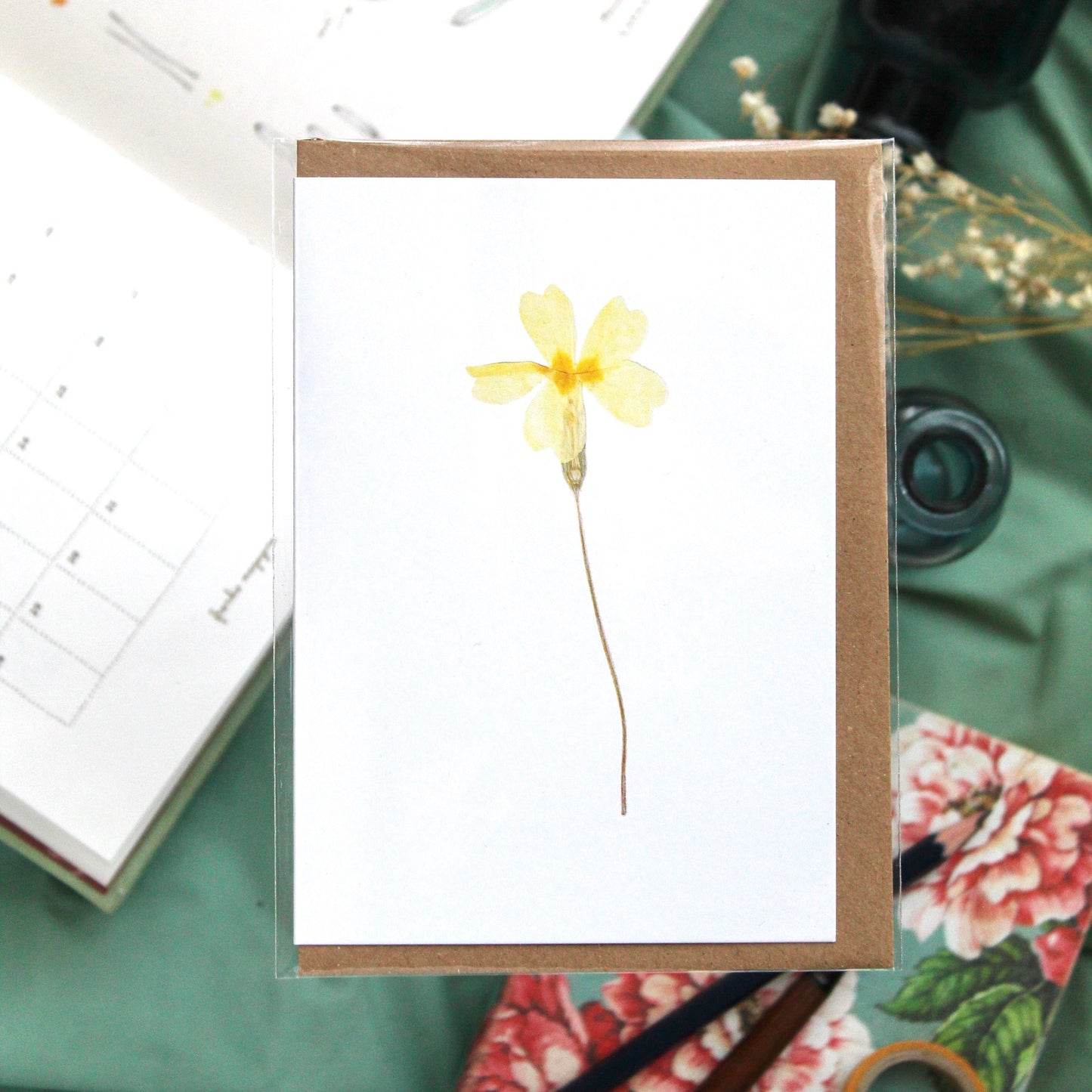 Botanical Cards - pack of 8