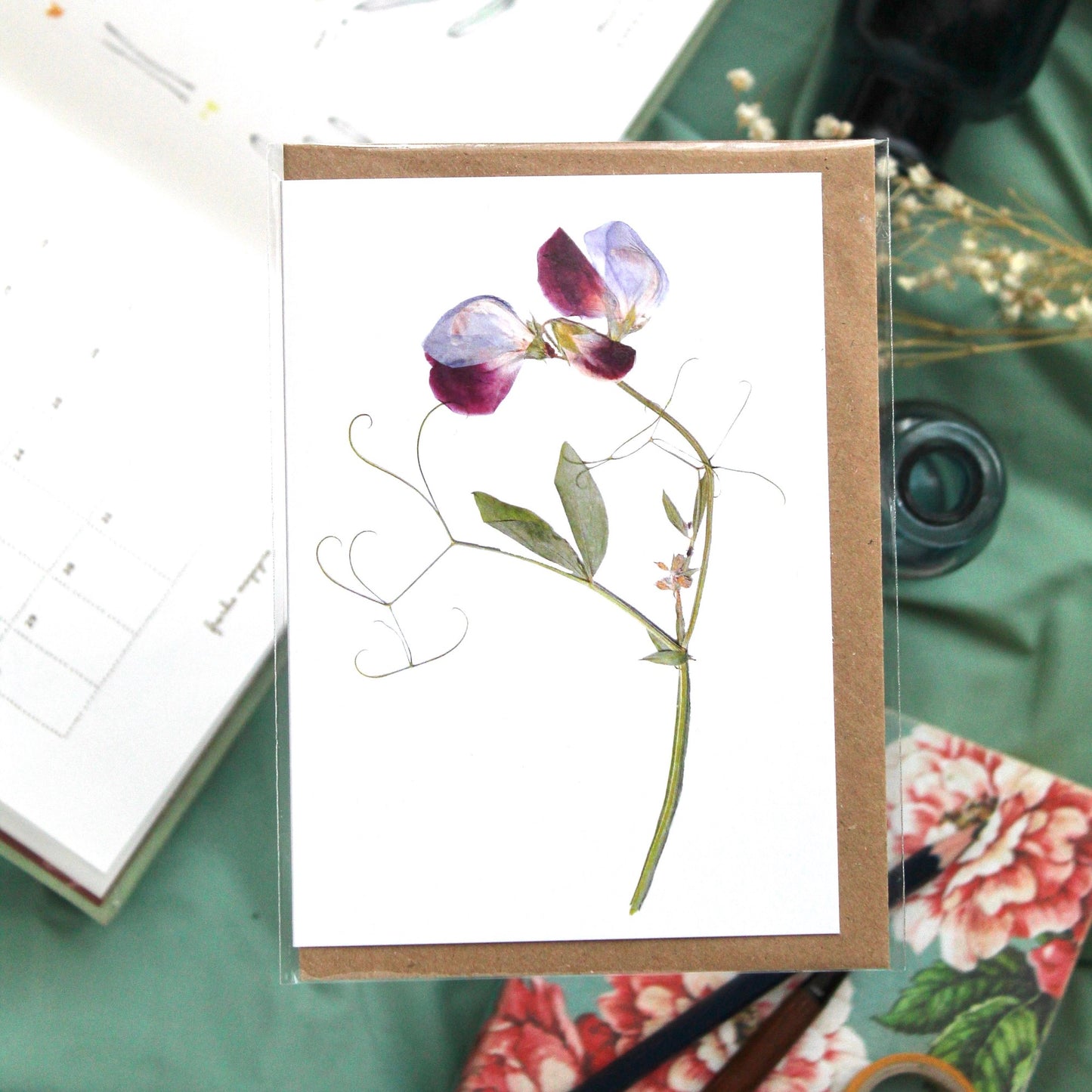 Botanical Cards - pack of 4