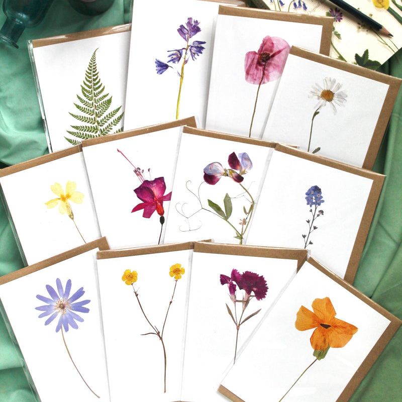 Botanical Cards - pack of 8